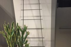 IMG_4054-e1529678131457
